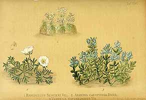  no thumbnail available