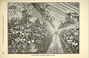  no thumbnail available