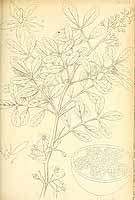  no thumbnail available