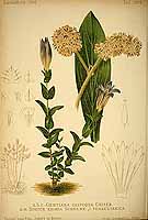  no thumbnail available