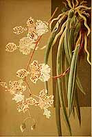  no thumbnail available