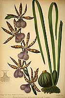  no thumbnail available