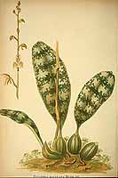  no thumbnail available