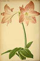  no thumbnail available