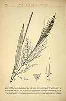  no thumbnail available