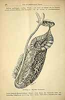  no thumbnail available