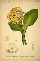  no thumbnail available