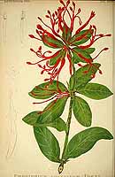  no thumbnail available