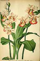  no thumbnail available