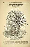  no thumbnail available