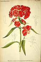  no thumbnail available