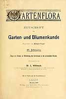  no thumbnail available