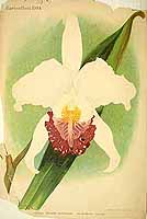  no thumbnail available