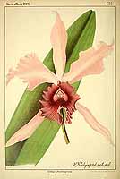  no thumbnail available