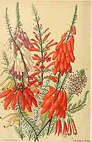  no thumbnail available