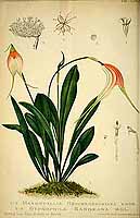  no thumbnail available