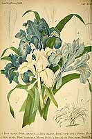  no thumbnail available