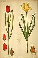  no thumbnail available