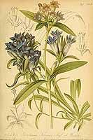  no thumbnail available