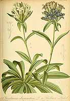  no thumbnail available