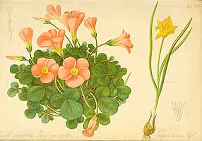  no thumbnail available