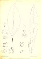  no thumbnail available