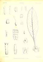  no thumbnail available