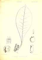  no thumbnail available