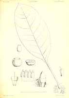  no thumbnail available