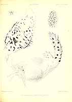  no thumbnail available