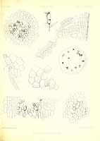  no thumbnail available