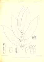  no thumbnail available