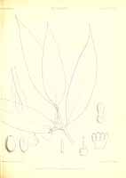  no thumbnail available