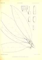  no thumbnail available