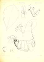  no thumbnail available