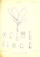  no thumbnail available