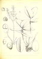  no thumbnail available