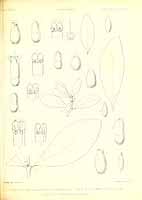  no thumbnail available