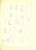  no thumbnail available