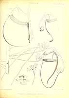  no thumbnail available