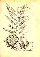  no thumbnail available