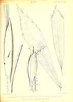  no thumbnail available