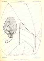  no thumbnail available