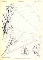  no thumbnail available