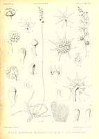  no thumbnail available