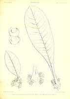  no thumbnail available