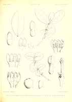  no thumbnail available