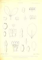  no thumbnail available