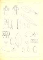  no thumbnail available