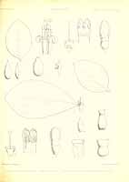  no thumbnail available